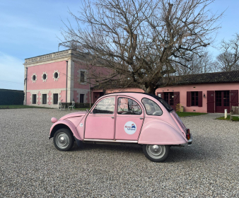 Private Wine tour in a 2CV - Médoc 4H00