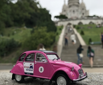 2CV Miniature Rose - Antoinette